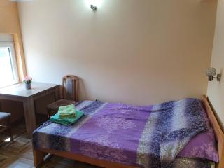 Small cute doublebed room A4 in Pančevo - Pančevo - 5