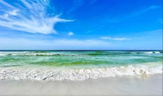 Tram-on-Time by 30A Escapes - Rosemary Beach - 7