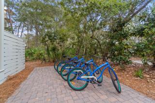 Driftwood Dream by 30A Escapes - Seagrove Beach - 1