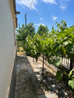 Monastiraki Villa - Keramotí - 5