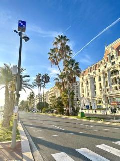 La Tanière du Bois Flotté - Nice - 4