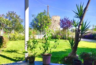 Apartment Nina Holidays - Paralia Sikias - 3