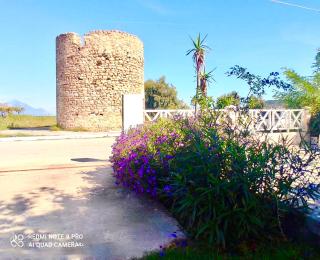 Apartment Nina Holidays - Paralia Sikias - 2