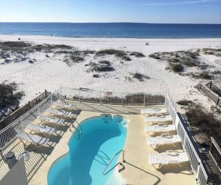 Dolphin View Duplex Side A - Beachfront Heated Pool -Gulf Shores Alabama - Near The Hangout - Gulf Shores - 0