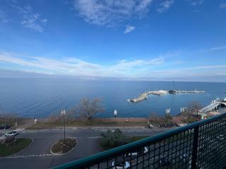 Spacieux appartement 2 chambres avec WiFi à Évian-les-Bains - FR-1-498-102 - 9
