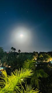 Estudio y vehículo* 5 Avenida - Playa del Carmen - 5
