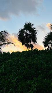 Estudio y vehículo* 5 Avenida - Playa del Carmen - 7