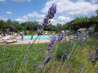 Agriturismo La Torriola - Todi - 2