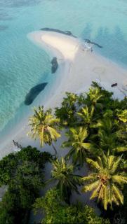 Hudhuvelimaldives - 0