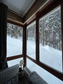 Elizi1winter apartments Pamporovo - Pamporovo - 7