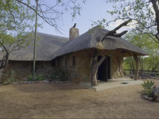 Rooted Bush Safaris - Mica - 8