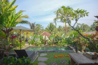 Taluh Bebek Ubud Private Villas - Ubud - 3
