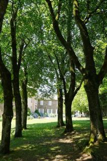 Domaine de Linars ☆ La Forge ☆ - Le Truel - 4