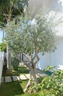 Villa Elisabetta - Torre Santa Sabina - 5