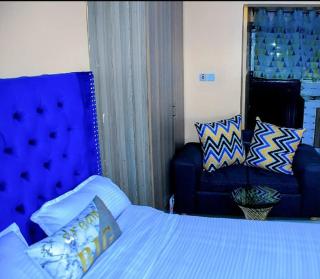 Studios in roysambu - Nairobi - 0