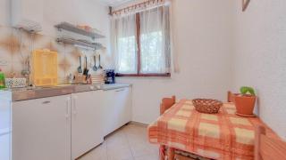 Mirjana Two - Novigrad - 2