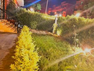 Rawdat Zayed Compound - Sheikh Zayed - 4