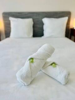 ''Clavel 26'' Joli T2 en duplex à 3 min des Halles - Sète - 9