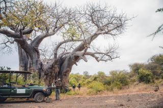 Nkula Camp - Pafuri Walking Safari's - Makuleke Contract Park - 9