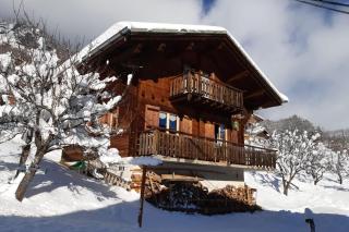 Savoyard nest with Mont Blanc view - Flumet - 0