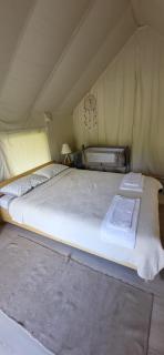 PINIALE GLAMPING TRIB - Bughea de Jos - 3