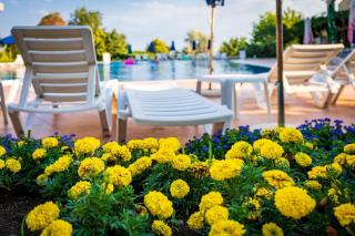 Paradise Corner Topola - 2 bedroom ground floor apartment - 5