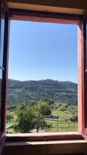 Azienda Agricola Colle Paradiso - Mompeo - 8