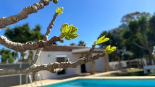 Vivienda Rural Atlántico Sur & Familias - Conil de la Frontera - 9