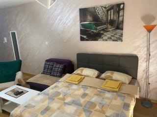 Impressive Apartment - Nikšić - 3