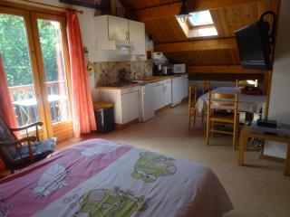 Charmant 2 Pièces + Coin Montagne - Parking Privé, WiFi, Proche Pistes - FR-1-762-31 - Saint-Chaffrey - 0