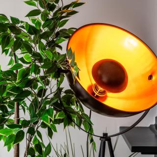 Stadsappartement Franeker 11 - 2