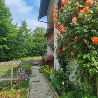 Holiday home in Lokve, Croatia 47707 - Lokve - 1
