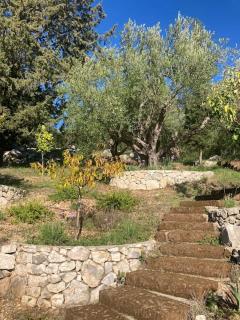 Sea front house in Kassiopi - Kassiopi - 4