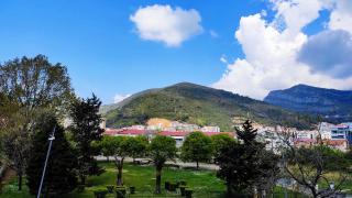 Apartments Svetlana - Budva - 1