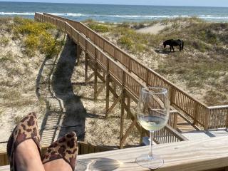 Salty Shenanigans - Knotts Island - 8