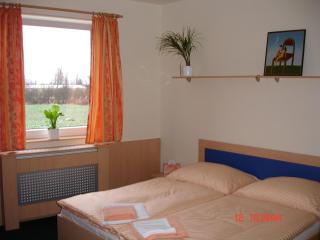 Sporthotel Vestec - Vestec - 3
