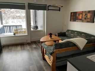 Rett ved Raudalen Alpinanlegg - Beitostøl - 5
