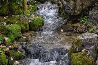 NAPAIMBE Sierra - 6