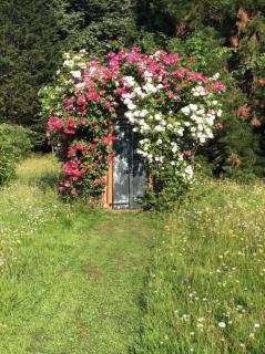 Dealettante glamping - Bétaucourt - 6