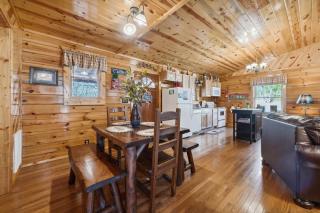 Wildberry Retreat cabin - 1