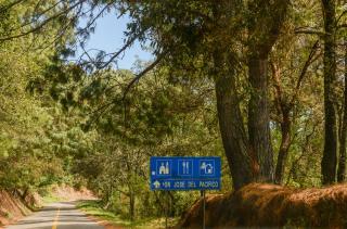 San José del Pacífico- Cabañas Camino al Cielo 1 - El Pacífico - 3