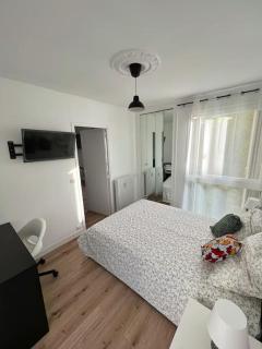 Beautiful flat (metro 8) 10min to paris city center - 7