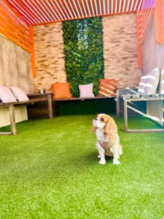 Dawlet ix-Xemx Gozo Farmhouse - Kerċem - 6