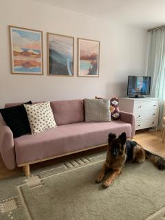 Uroczy apartament w Krynicy Zdrój - Krynica Zdrój - 4