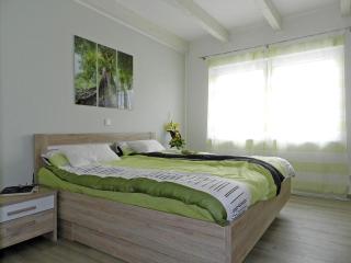 Holiday apartment deck boat - Hoddersdeich - 3