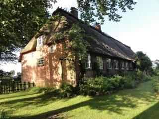 Romantic thatched roof house - Schnarup-Thumby - 9