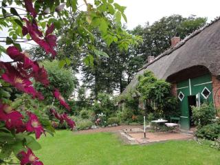 Romantic thatched roof house - Schnarup-Thumby - 1