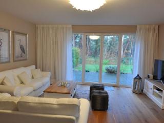 Holiday house dune forest b - Dierhagen - 0