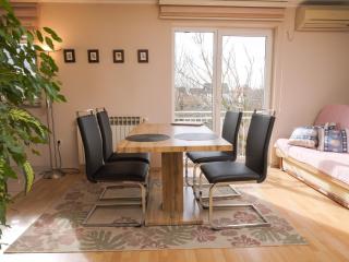 Quietude in Visnjevac - 9