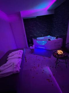 T3 5 étoile jacuzzi - Toulouse - 6
